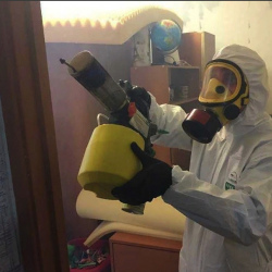 Уничтожение клопов в квартире. Электросталь